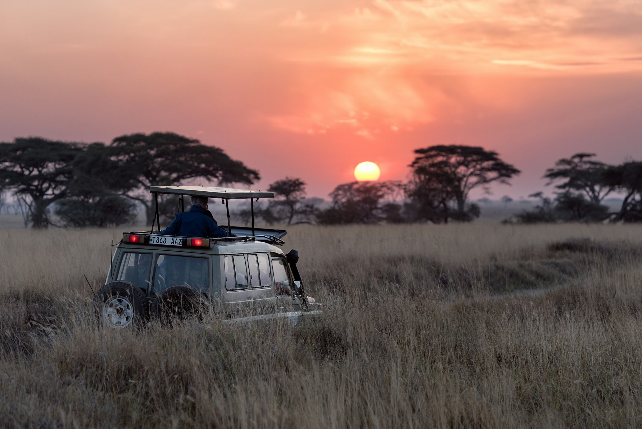 Safari-Abenteuer in Afrika: eSIM-Konnektivität in Nationalparks