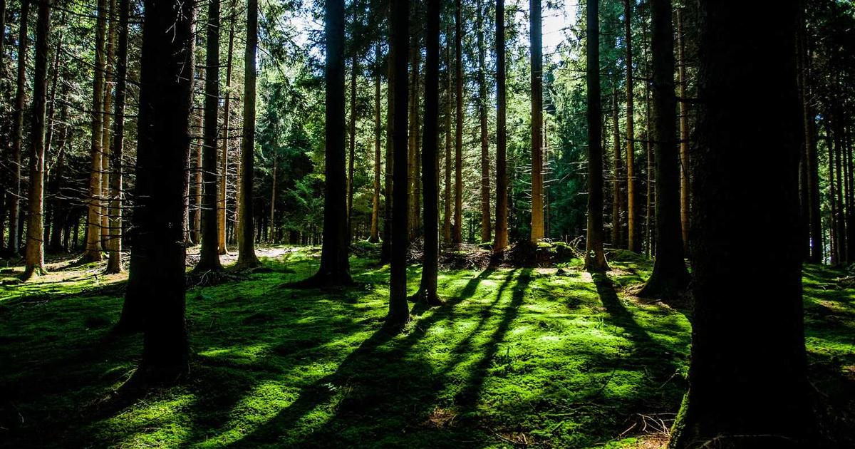 독자 여행자를 위한 eSIM 선택: 안전과 편리함의 완벽한 균형