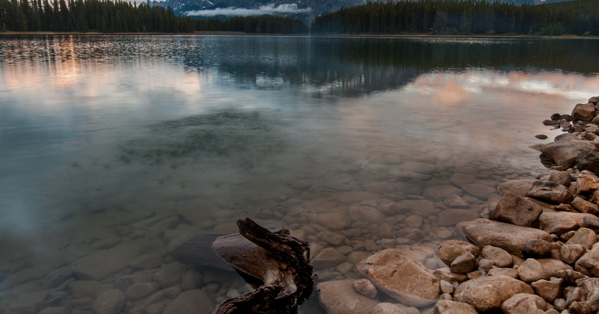 상무 여행 신상태: eSIM이 국제 상무 효율성을 향상시키는 방법